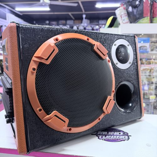 Subwoofer amplificado 12"